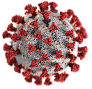 coronavirus