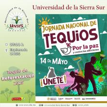 Tequio de reforestación 2025