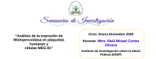 Resumen del Seminario 21 de agosto de 2025